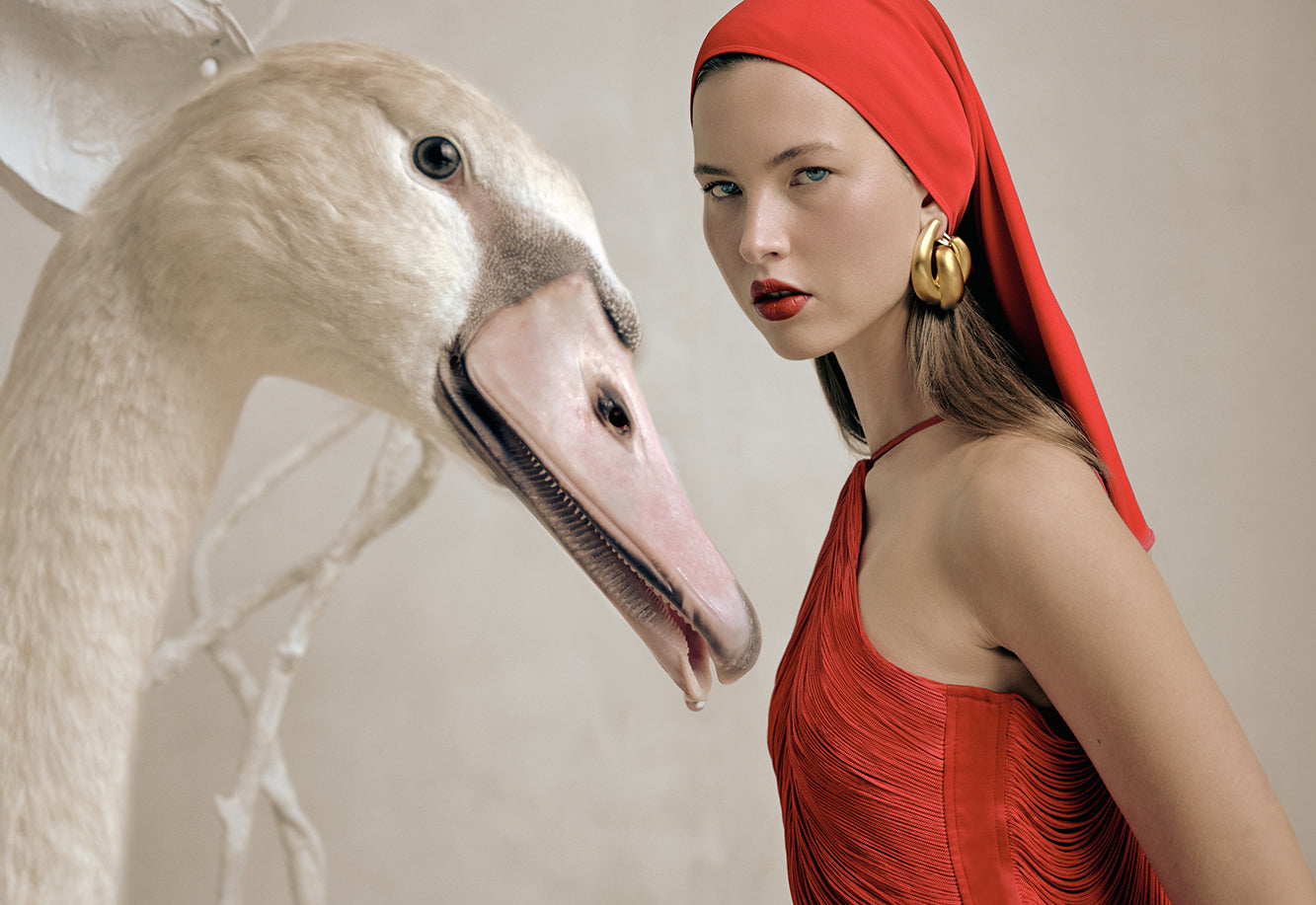 New Gowns Collection